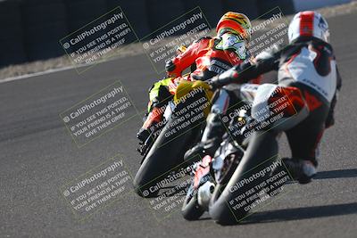 media/Nov-01-2025-TrackDaz (Sat) [[2b4d5192bc]]/C Group/240pm (Turn 6)/